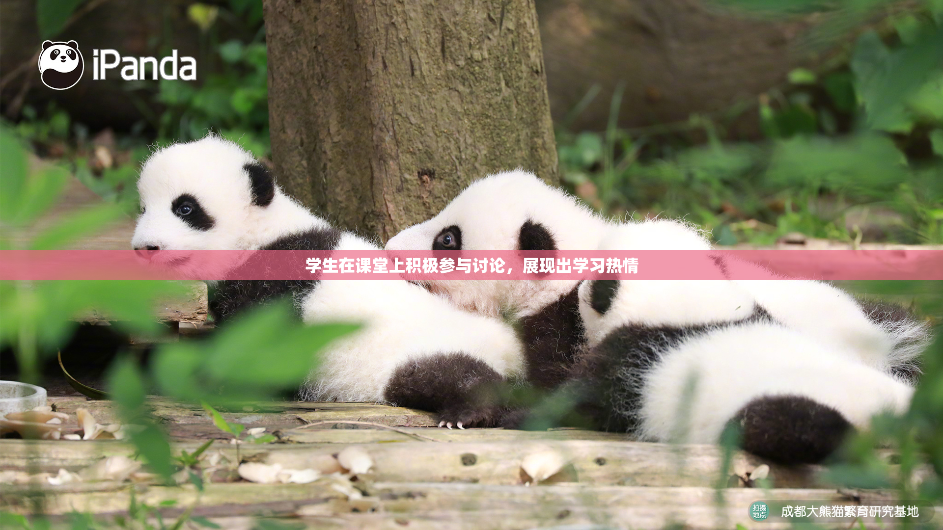 学生在课堂上积极参与讨论，展现出学习热情