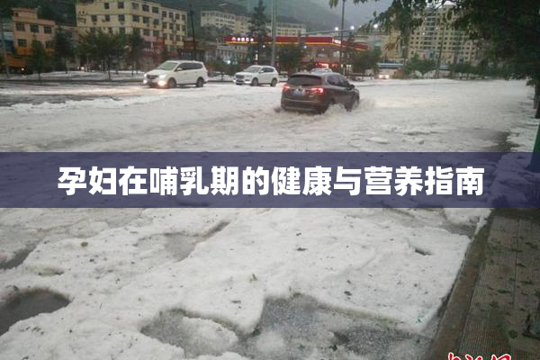 孕妇在哺乳期的健康与营养指南