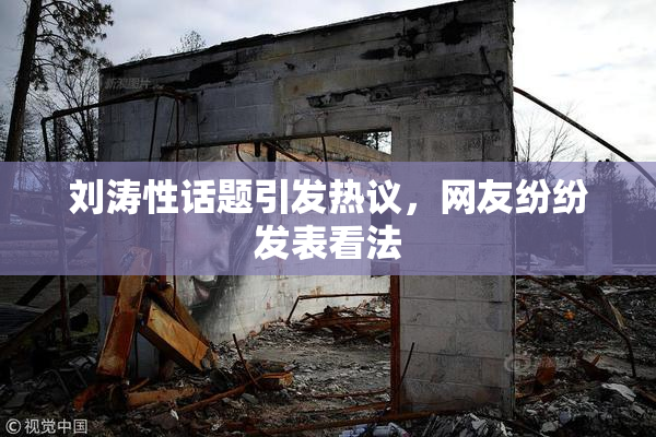 刘涛性话题引发热议，网友纷纷发表看法