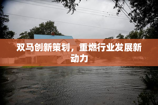 双马创新策划，重燃行业发展新动力