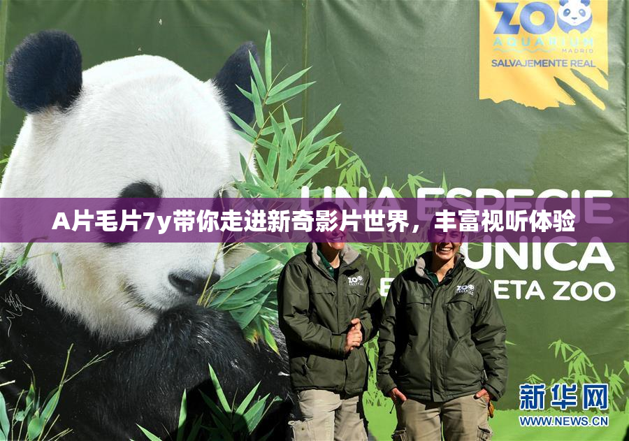 A片毛片7y带你走进新奇影片世界，丰富视听体验