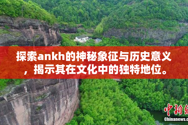 探索ankh的神秘象征与历史意义，揭示其在文化中的独特地位。