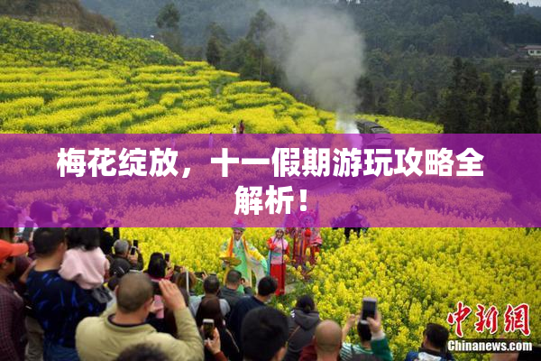 梅花绽放，十一假期游玩攻略全解析！