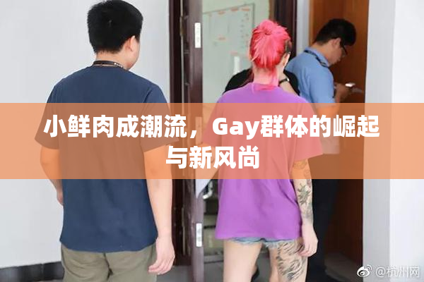 小鲜肉成潮流，Gay群体的崛起与新风尚