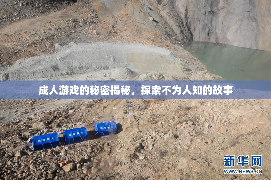 成人游戏的秘密揭秘，探索不为人知的故事