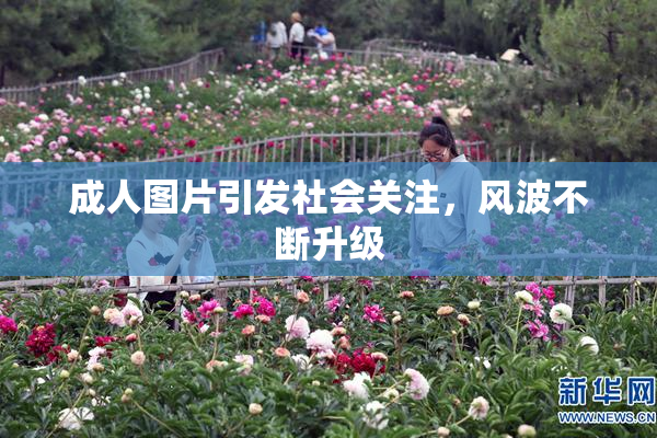 成人图片引发社会关注，风波不断升级