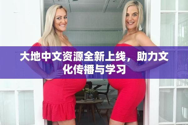 大地中文资源全新上线，助力文化传播与学习