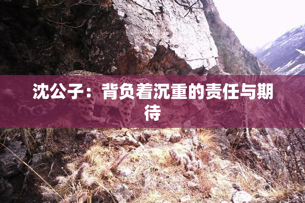 沈公子：背负着沉重的责任与期待