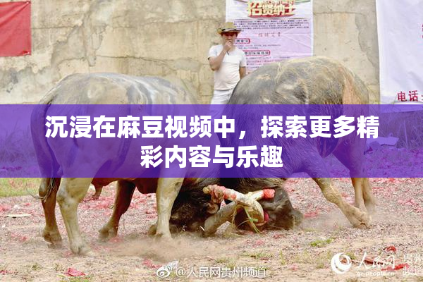 沉浸在麻豆视频中，探索更多精彩内容与乐趣