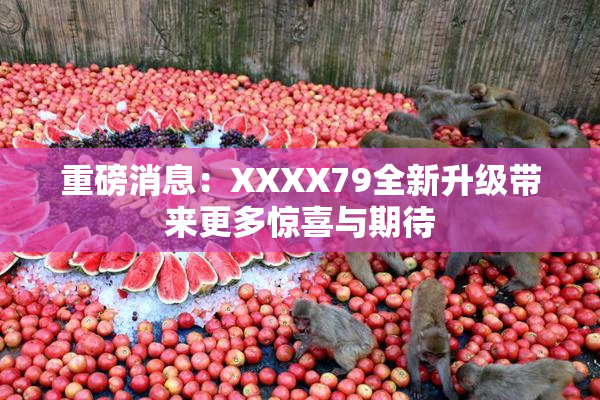 重磅消息：XXXX79全新升级带来更多惊喜与期待