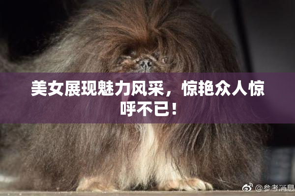 美女展现魅力风采，惊艳众人惊呼不已！