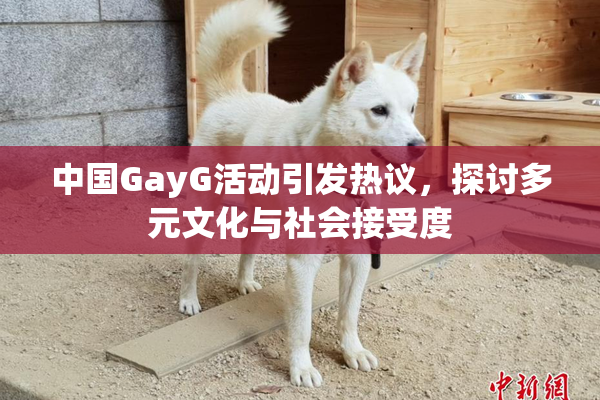 中国GayG活动引发热议，探讨多元文化与社会接受度