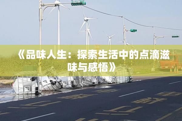 《品味人生：探索生活中的点滴滋味与感悟》