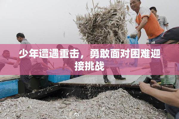 少年遭遇重击，勇敢面对困难迎接挑战