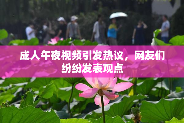 成人午夜视频引发热议，网友们纷纷发表观点