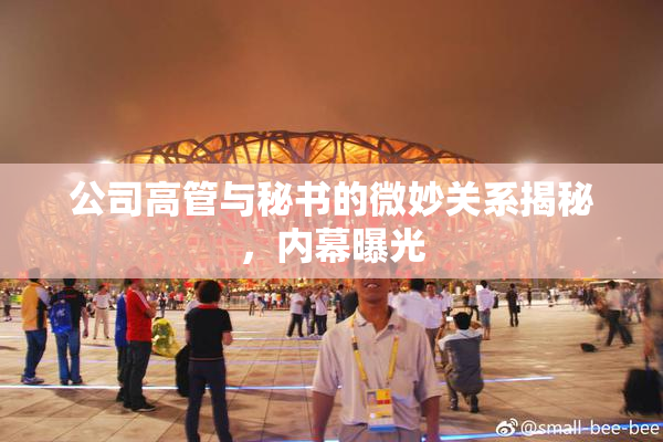 公司高管与秘书的微妙关系揭秘，内幕曝光