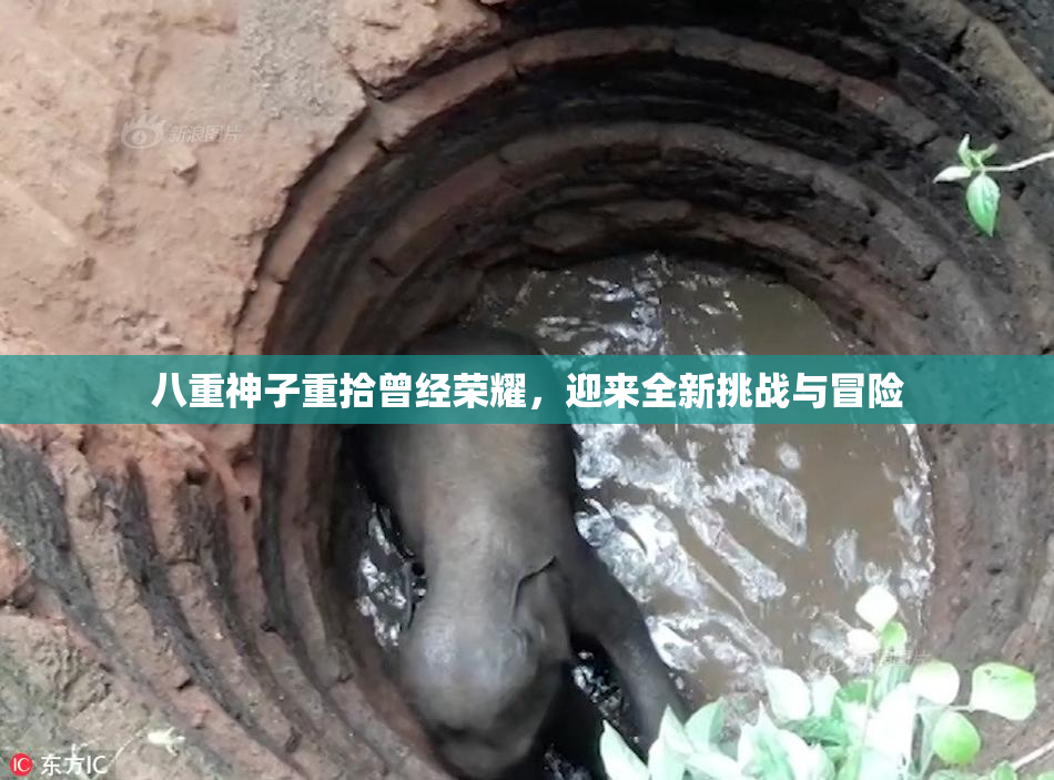 八重神子重拾曾经荣耀，迎来全新挑战与冒险