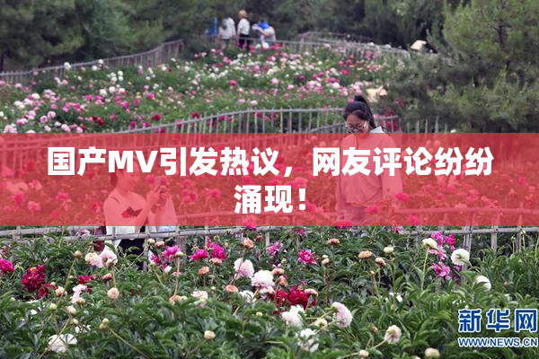 国产MV引发热议，网友评论纷纷涌现！