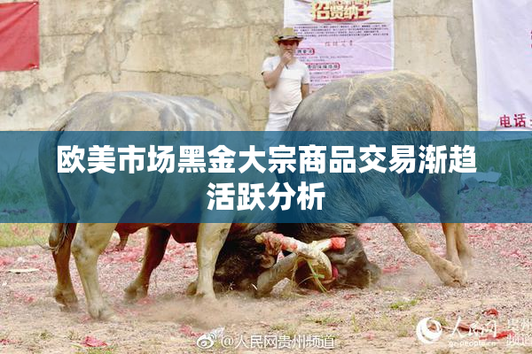 欧美市场黑金大宗商品交易渐趋活跃分析