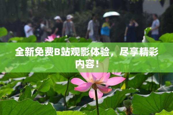 全新免费B站观影体验，尽享精彩内容！