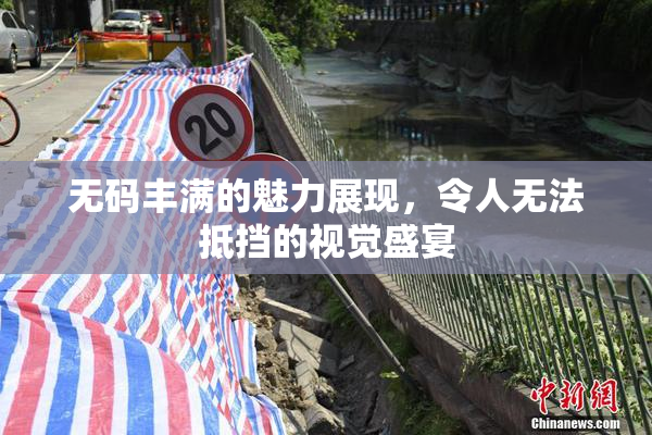 无码丰满的魅力展现，令人无法抵挡的视觉盛宴