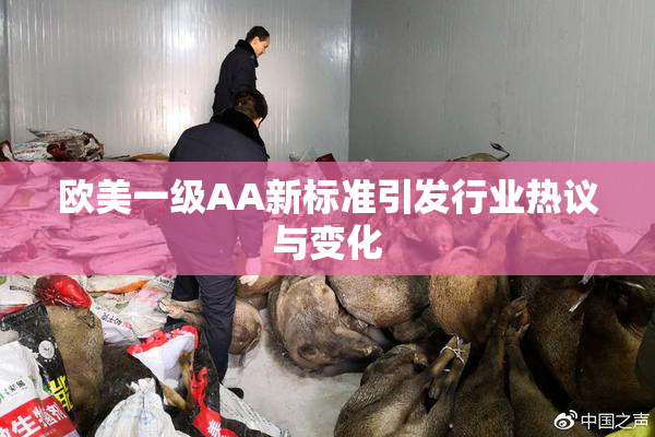 欧美一级AA新标准引发行业热议与变化