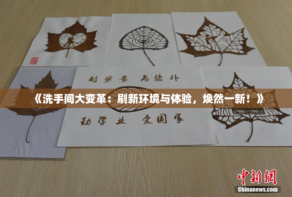 《洗手间大变革：刷新环境与体验，焕然一新！》