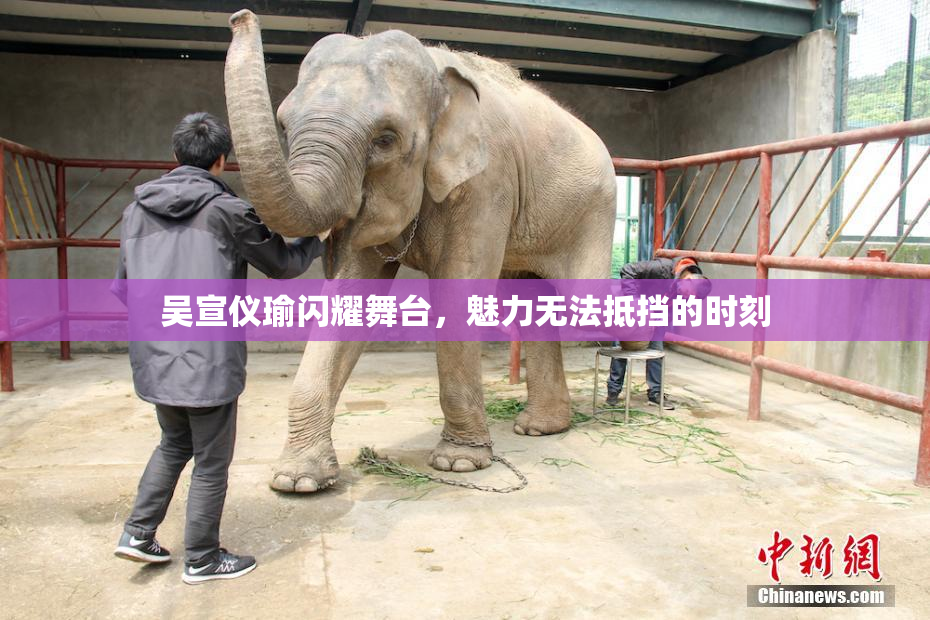 吴宣仪瑜闪耀舞台，魅力无法抵挡的时刻