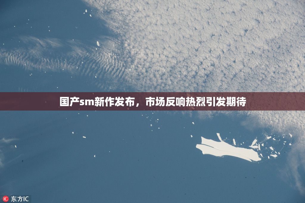 国产sm新作发布，市场反响热烈引发期待