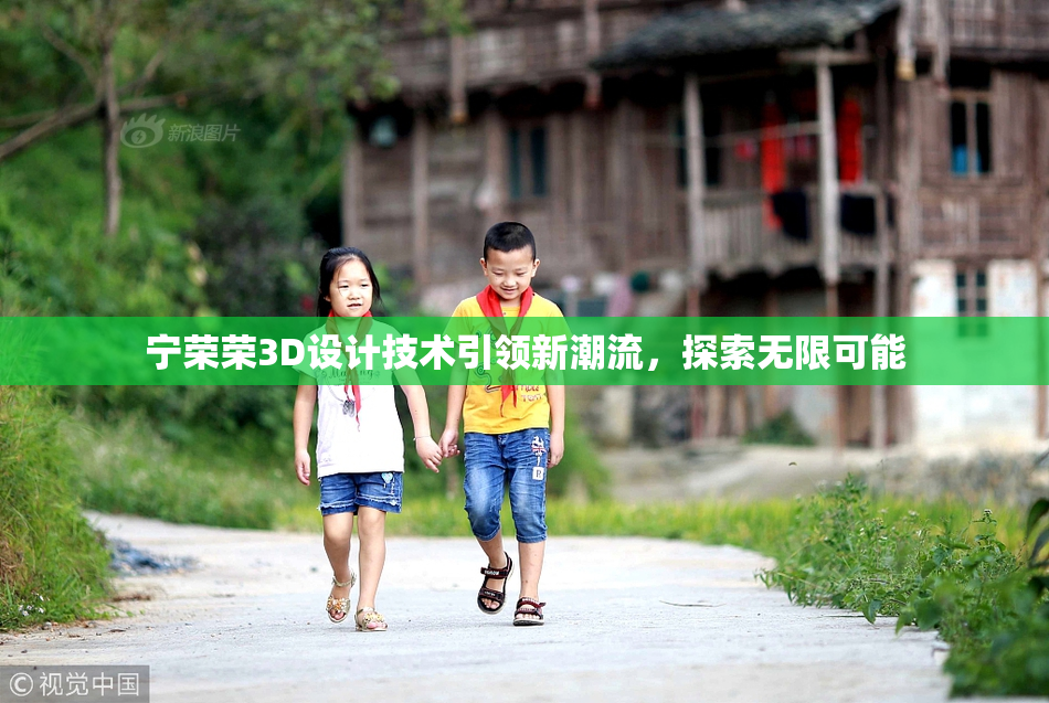 宁荣荣3D设计技术引领新潮流，探索无限可能