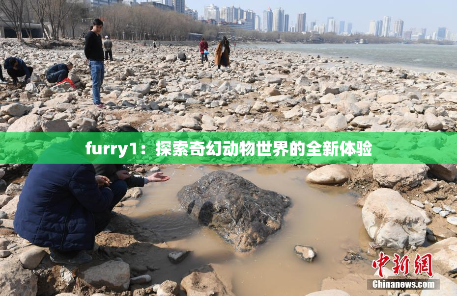 furry1：探索奇幻动物世界的全新体验