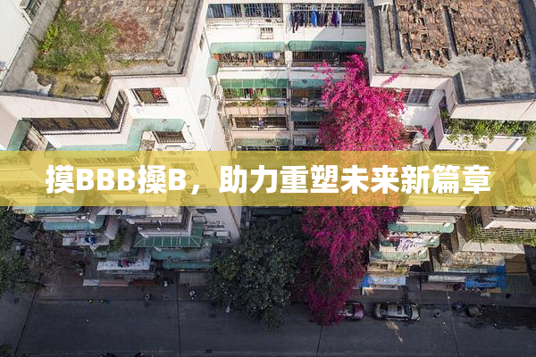 摸BBB搡B，助力重塑未来新篇章