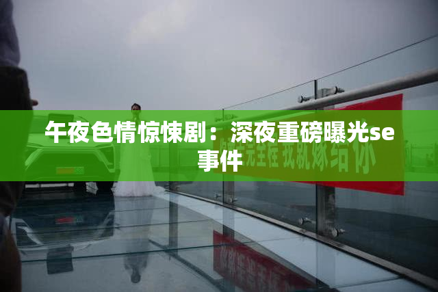 午夜色情惊悚剧：深夜重磅曝光se事件