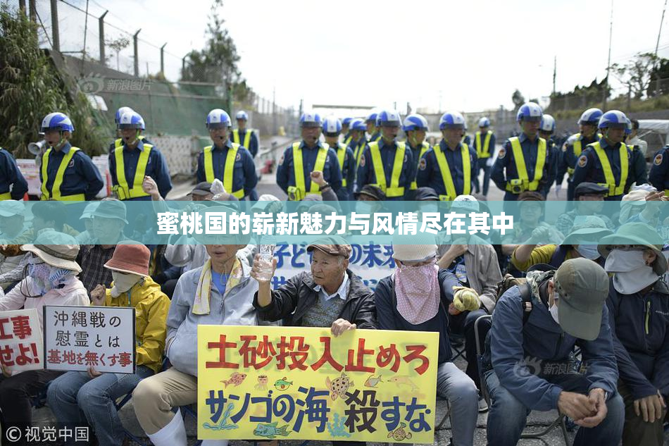 蜜桃国的崭新魅力与风情尽在其中