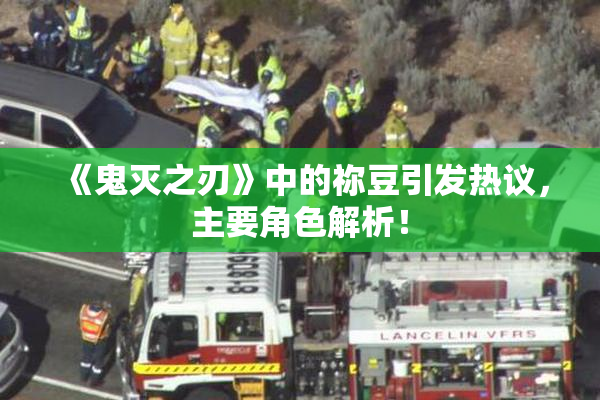 《鬼灭之刃》中的祢豆引发热议，主要角色解析！