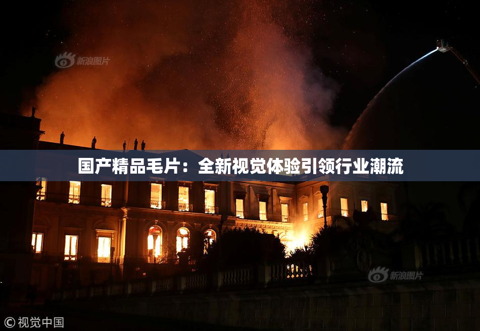 国产精品毛片：全新视觉体验引领行业潮流