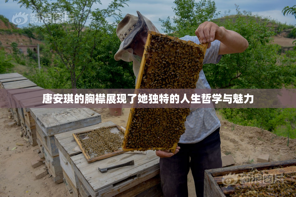 唐安琪的胸襟展现了她独特的人生哲学与魅力