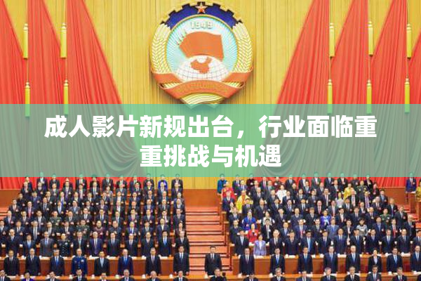 成人影片新规出台，行业面临重重挑战与机遇