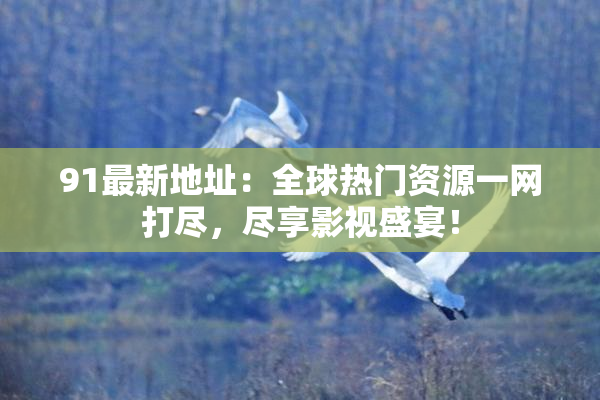 91最新地址：全球热门资源一网打尽，尽享影视盛宴！