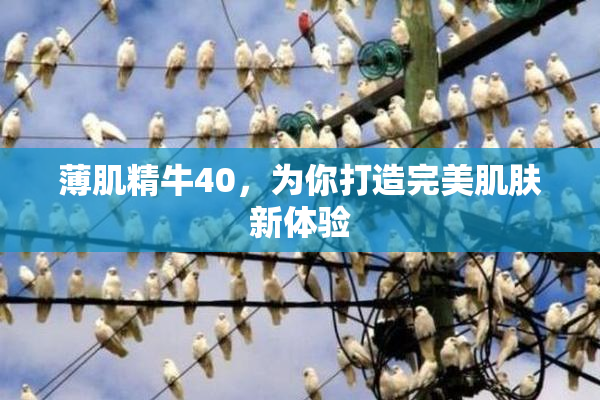 薄肌精牛40，为你打造完美肌肤新体验