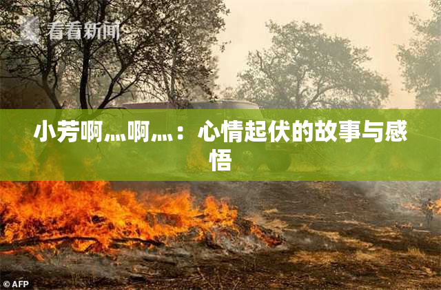 小芳啊灬啊灬：心情起伏的故事与感悟