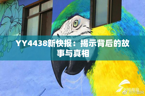 YY4438新快报：揭示背后的故事与真相