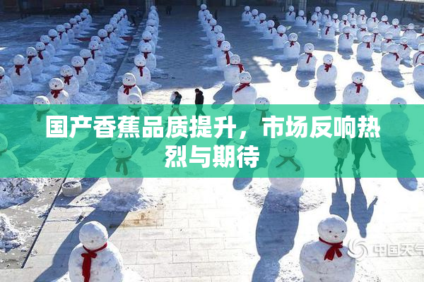 国产香蕉品质提升，市场反响热烈与期待