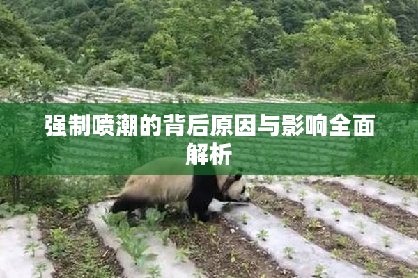 强制喷潮的背后原因与影响全面解析