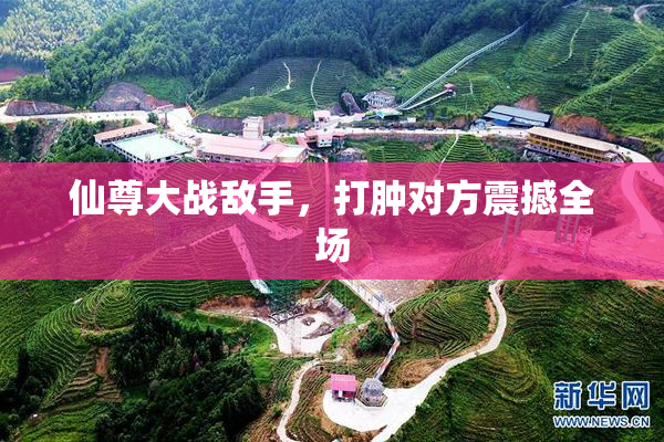 仙尊大战敌手，打肿对方震撼全场