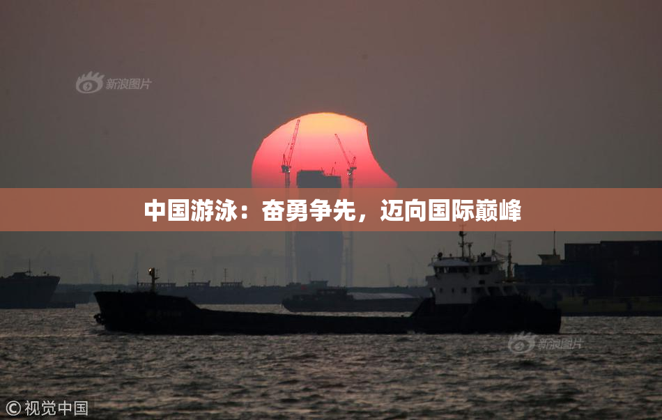 中国游泳：奋勇争先，迈向国际巅峰