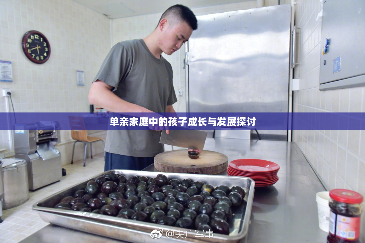 单亲家庭中的孩子成长与发展探讨