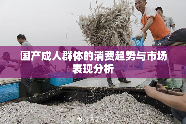 国产成人群体的消费趋势与市场表现分析