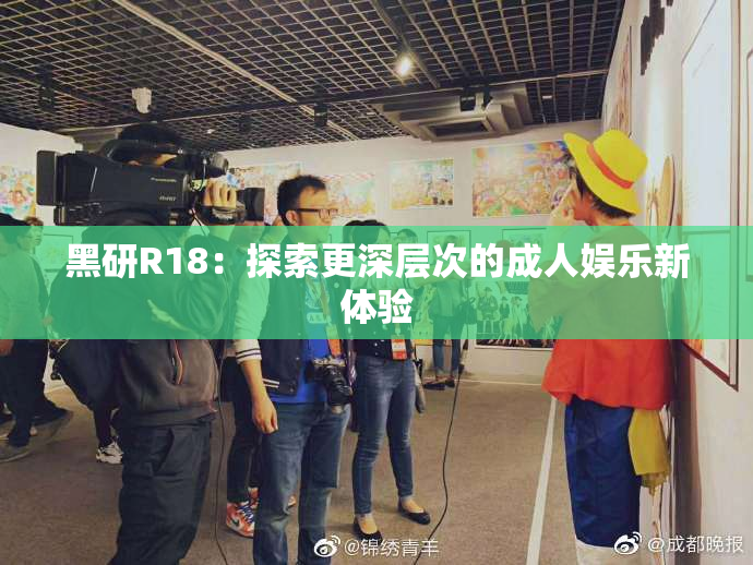 黑研R18：探索更深层次的成人娱乐新体验