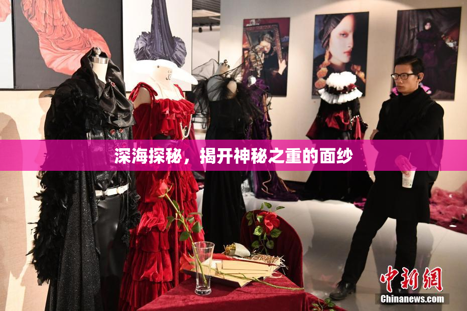 深海探秘，揭开神秘之重的面纱